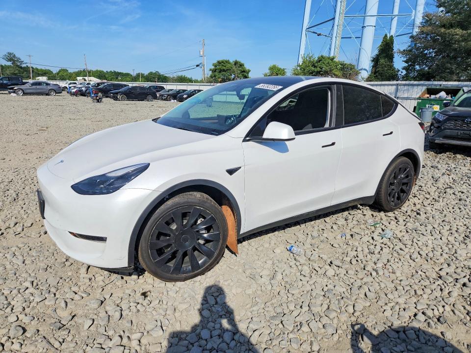 Aukcja sprzedaży 2023 Tesla Model Y, vin: 7SAYGAEE7PF742600, numer aukcji: 56392286
