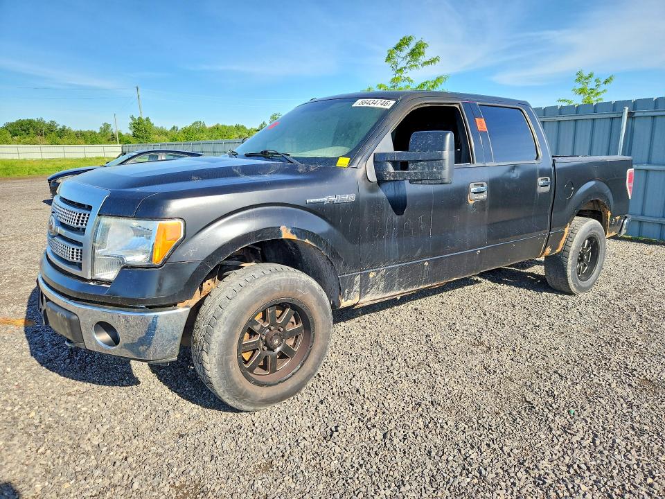 56434746 :رقم المزاد ، 1FTFW1EF7BFA89156 vin ، 2011 Ford F150 مزاد بيع