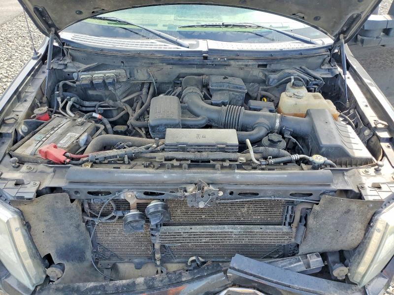Продажа на аукционе авто 2010 Ford F150, vin: 1FTFX1EV1AFC13327, номер лота: 55604476