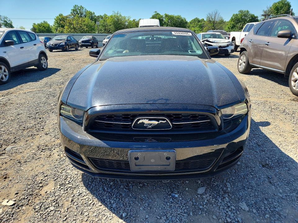 Продажа на аукционе авто 2014 Ford Mustang, vin: 1ZVBP8EM1E5329778, номер лота: 55950286