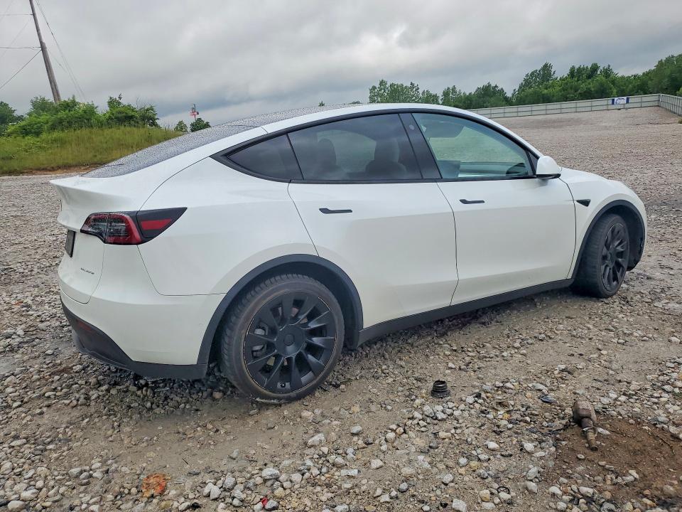 Продажа на аукционе авто 2021 Tesla Model Y, vin: 5YJYGDEE7MF190087, номер лота: 56501246