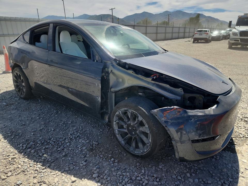 Продажа на аукционе авто 2024 Tesla Model Y, vin: 7SAYGDEE0RF099575, номер лота: 57700396