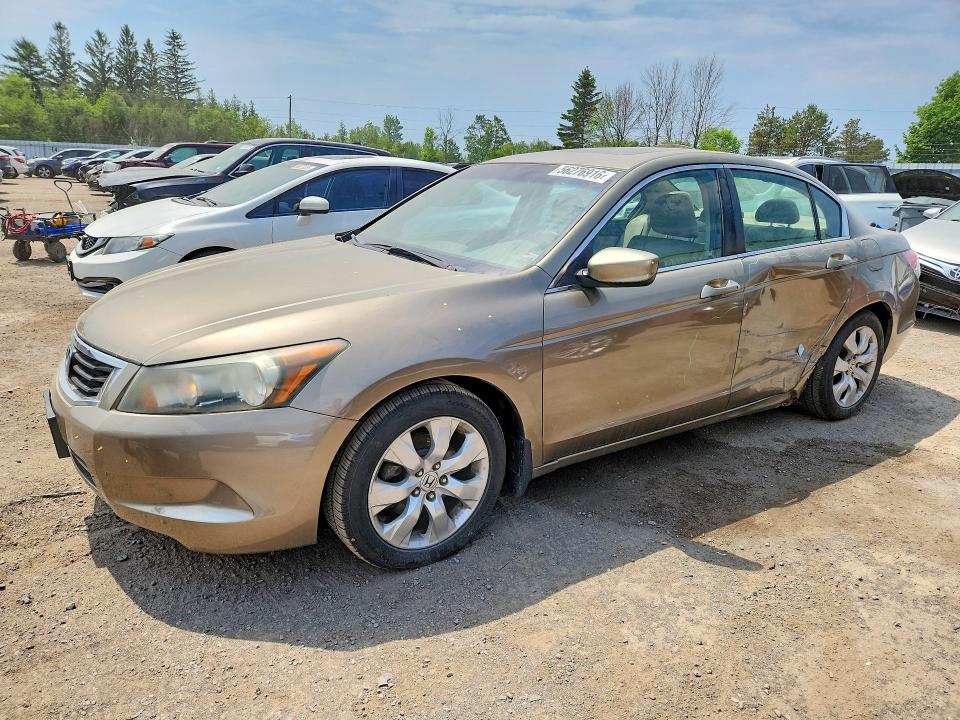 Auction sale of the 2010 Honda Accord, vin: 1HGCP2F88AA805940, lot number: 56276916