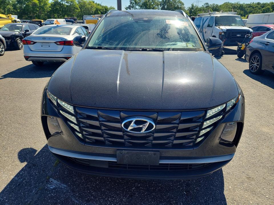 Продажа на аукционе авто 2023 Hyundai Tucson, vin: 5NMJBCAE5PH195923, номер лота: 55435586
