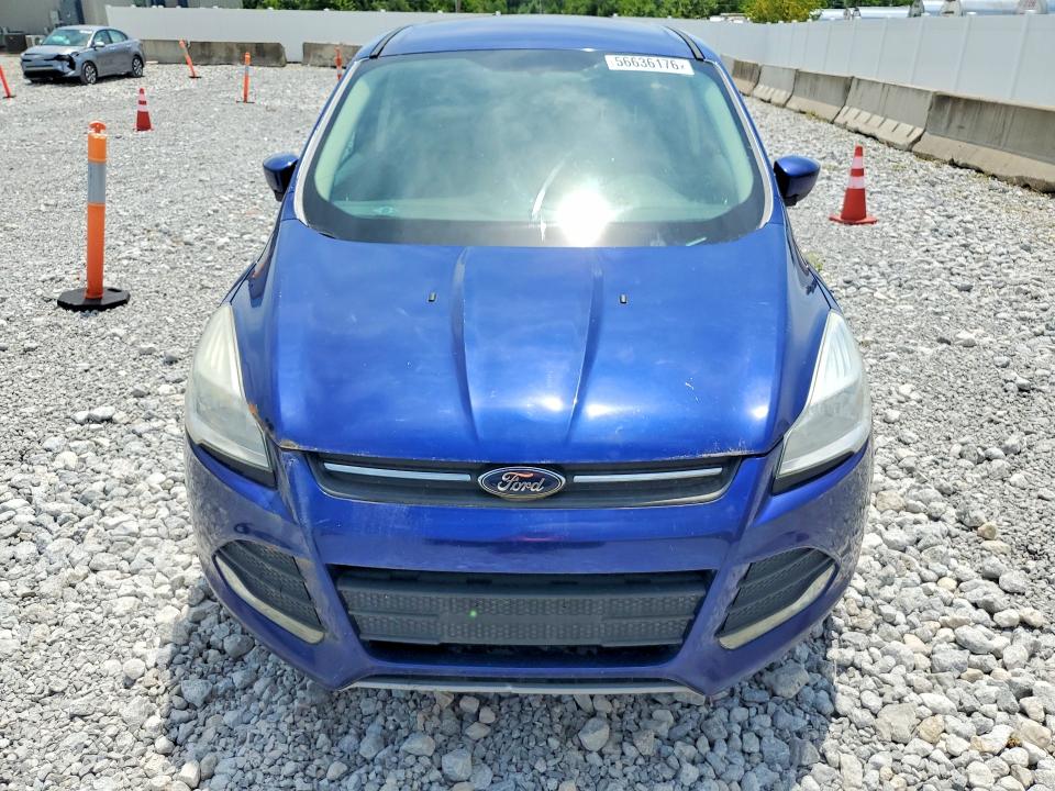 Продаж на аукціоні авто 2014 Ford Escape, vin: 1FMCU0GX5EUA20468, номер лоту: 56636176