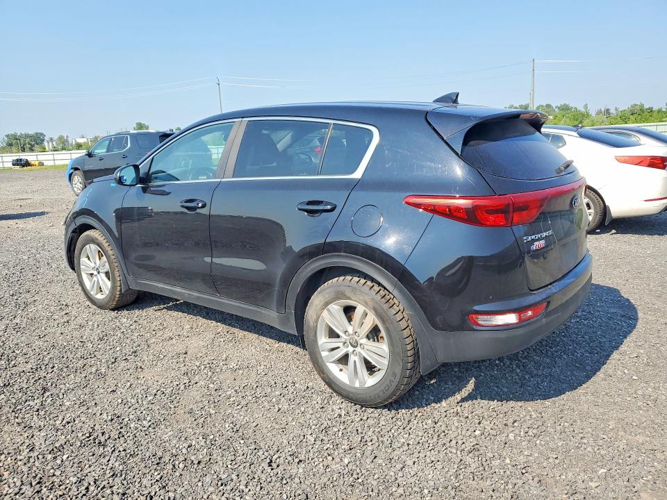 59153776 :رقم المزاد ، KNDPM3AC6K7535616 vin ، 2019 Kia Sportage مزاد بيع