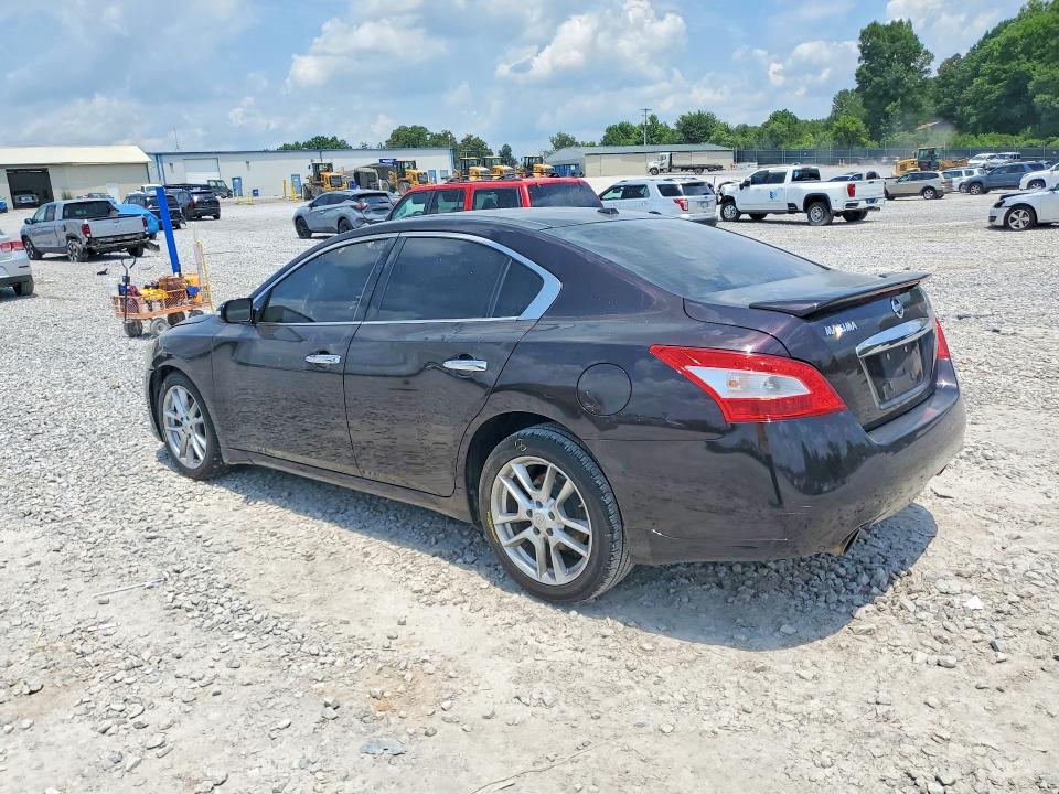 58238676 :رقم المزاد ، 1N4AA5AP3BC850884 vin ، 2011 Nissan Maxima مزاد بيع