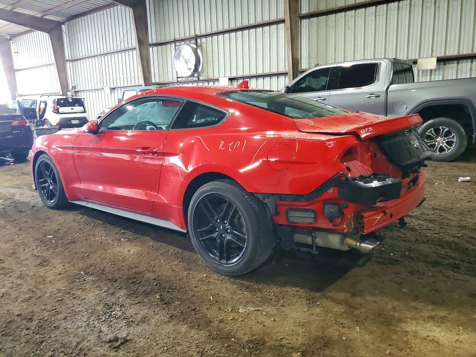 Продажа на аукционе авто 2021 Ford Mustang, vin: 1FA6P8TH4M5100817, номер лота: 51879556
