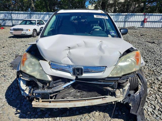 Aukcja sprzedaży 2009 Honda Cr-v, vin: 5J6RE485X9L006961, numer aukcji: 56576156