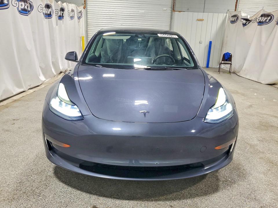 Продажа на аукционе авто 2023 Tesla Model 3, vin: 5YJ3E1EA4PF448369, номер лота: 55447216