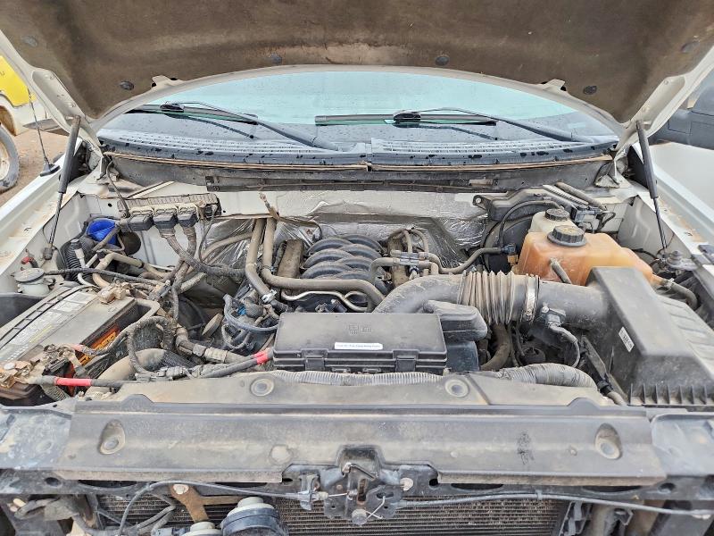 Aukcja sprzedaży 2013 Ford F150, vin: 1FTFX1EF4DKE98254, numer aukcji: 59013526