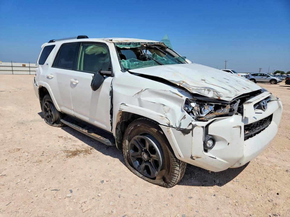 Продаж на аукціоні авто 2024 Toyota 4runner, vin: JTEMU5JR0R6249596, номер лоту: 56370506
