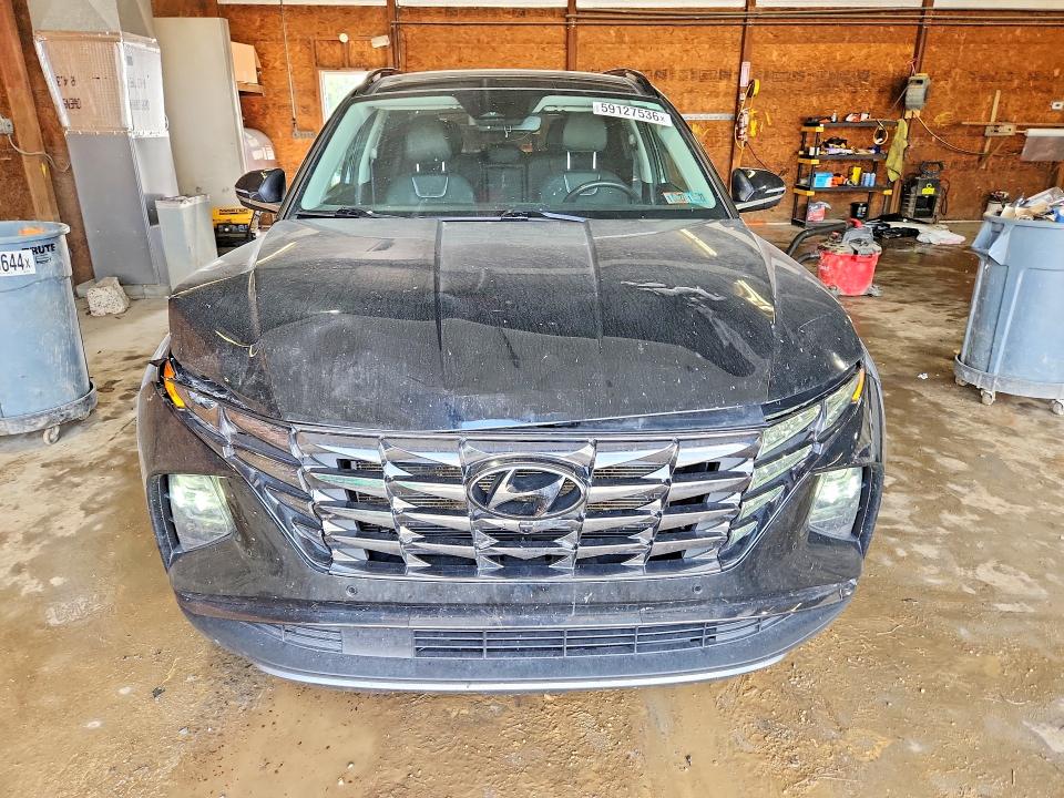 Продаж на аукціоні авто 2023 Hyundai Tucson, vin: 5NMJECAE8PH243129, номер лоту: 59127536