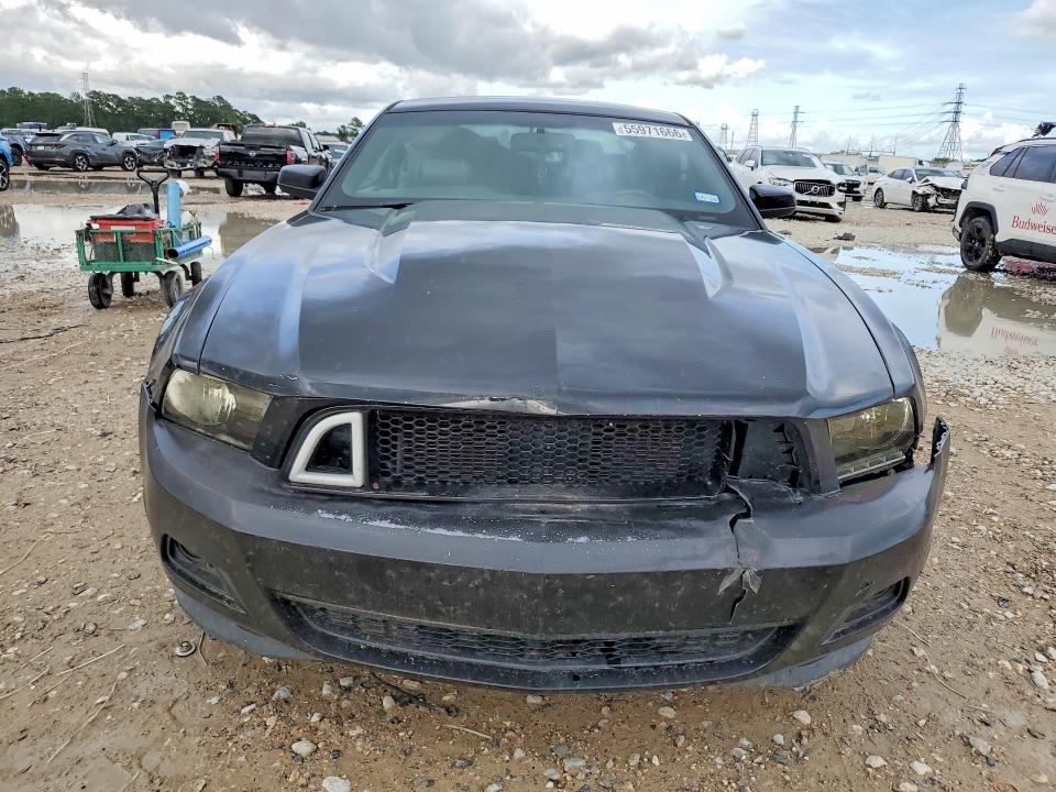 55971666 :رقم المزاد ، 1ZVBP8AM1C5249206 vin ، 2012 Ford Mustang مزاد بيع