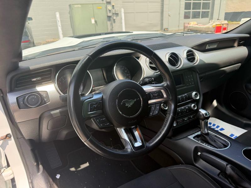 59642556 :رقم المزاد ، 1FA6P8CF4K5146692 vin ، 2019 Ford Mustang مزاد بيع