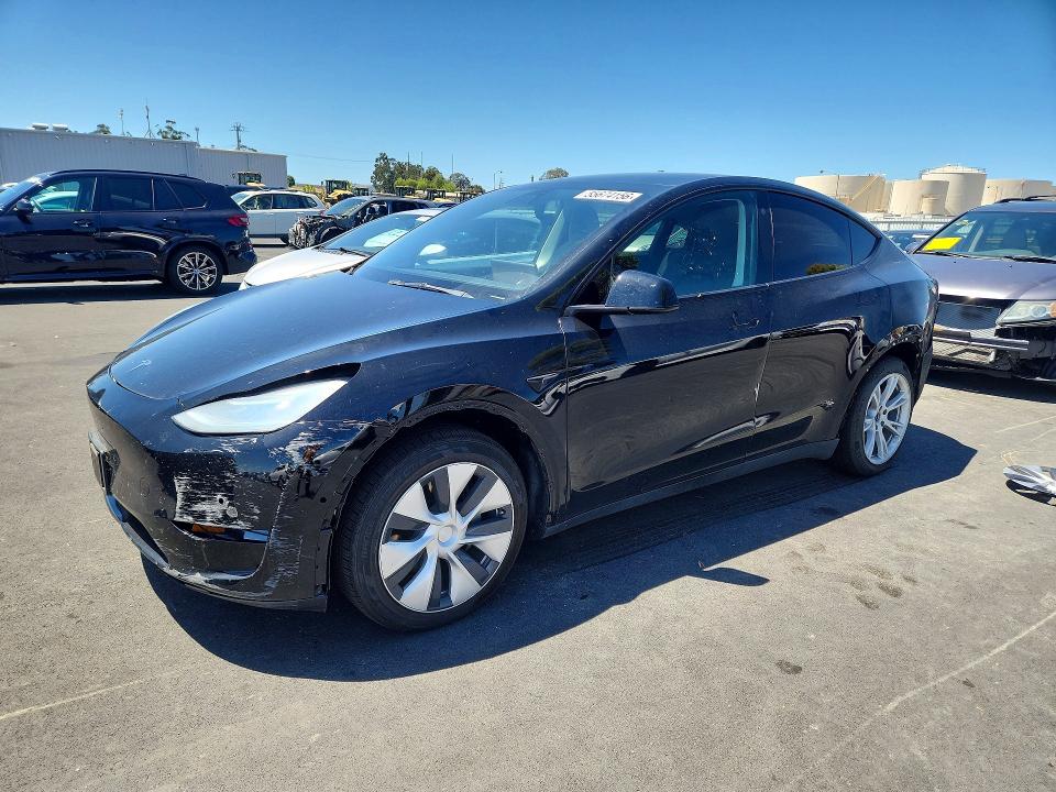 55674156 :رقم المزاد ، 5YJYGDEE3MF196078 vin ، 2021 Tesla Model Y مزاد بيع