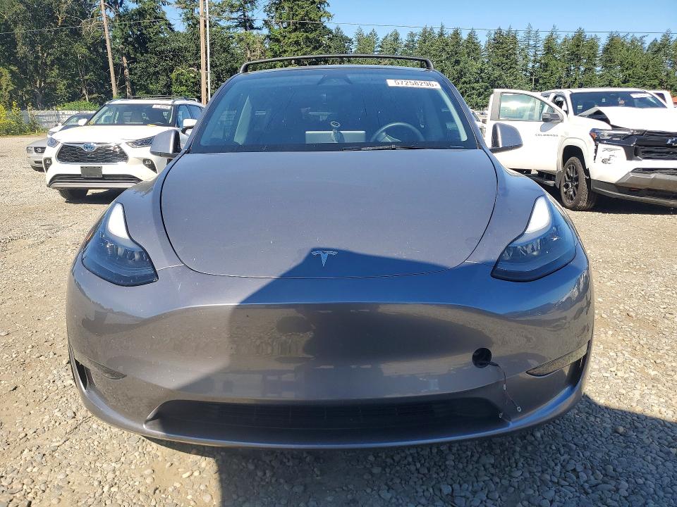 Продаж на аукціоні авто 2025 Tesla Model Y, vin: 7SAYGDEF8SF263346, номер лоту: 57258296