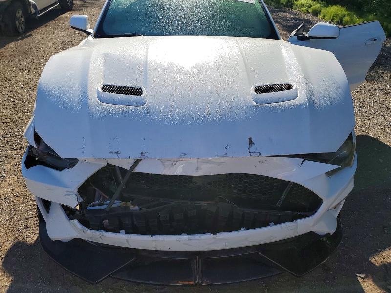 56236246 :رقم المزاد ، 1FA6P8CF7K5145164 vin ، 2019 Ford Mustang مزاد بيع
