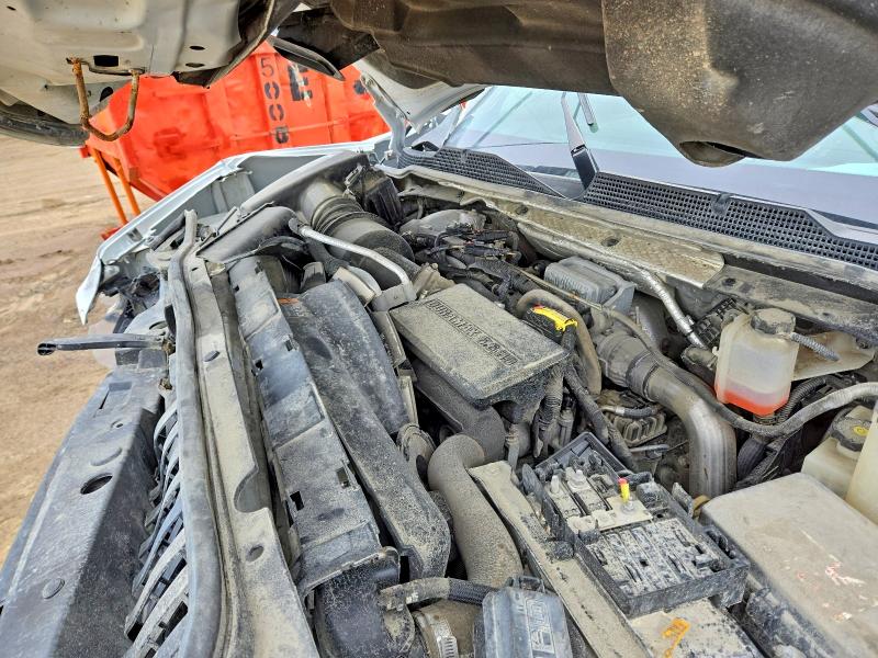 57842636 :رقم المزاد ، 1GC1YLEY7LF203207 vin ، 2020 Chevrolet Silverado مزاد بيع