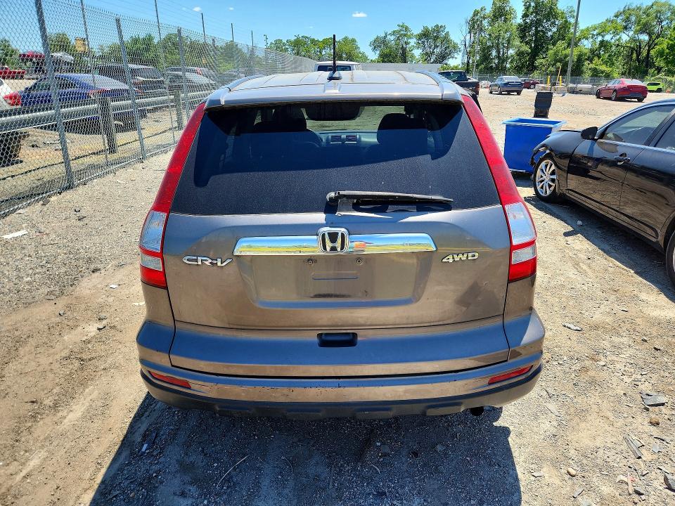 Продаж на аукціоні авто 2010 Honda Cr-v, vin: 5J6RE4H73AL013420, номер лоту: 55451756