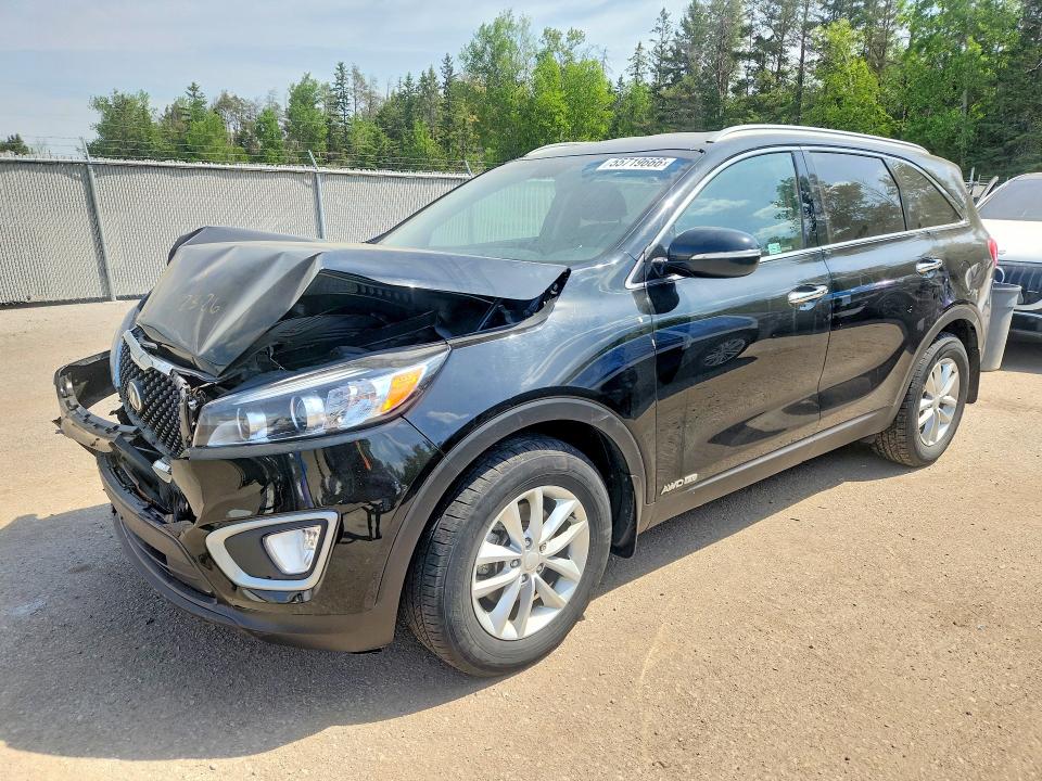55719666 :رقم المزاد ، 5XYPGDA56JG389105 vin ، 2018 Kia Sorento مزاد بيع