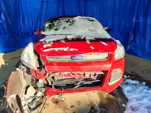 2016 Ford Escape მანქანა იყიდება აუქციონზე, vin: 1FMCU0GX4GUB68971, აუქციონის ნომერი: 73063335