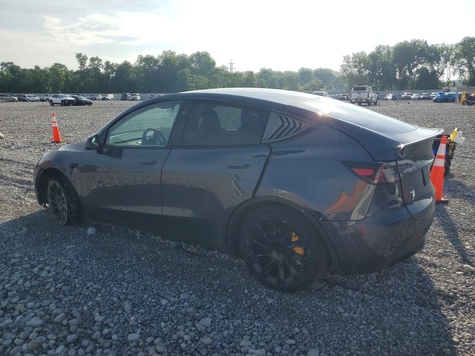 Продажа на аукционе авто 2023 Tesla Model Y, vin: 7SAYGDEE2PA192091, номер лота: 55585566