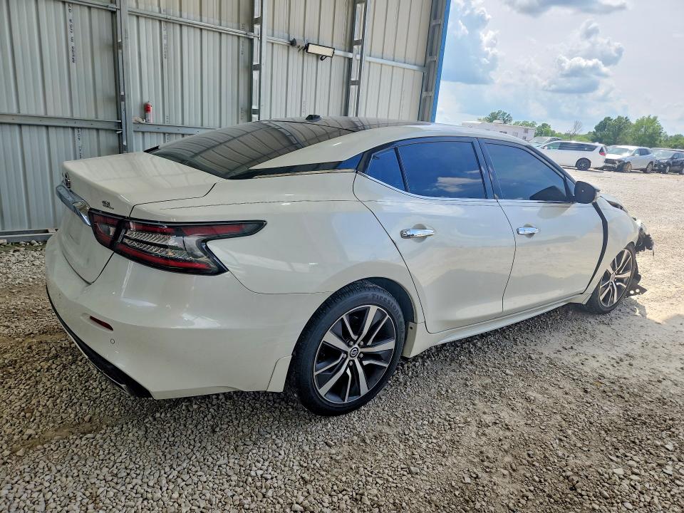 54969036 :رقم المزاد ، 1N4AA6AV8KC371123 vin ، 2019 Nissan Maxima مزاد بيع