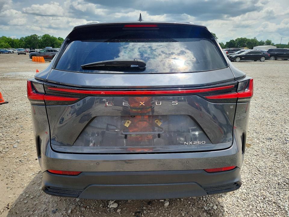 2025 Lexus Nx მანქანა იყიდება აუქციონზე, vin: 2T2GDCAZ4SC018006, აუქციონის ნომერი: 57819976