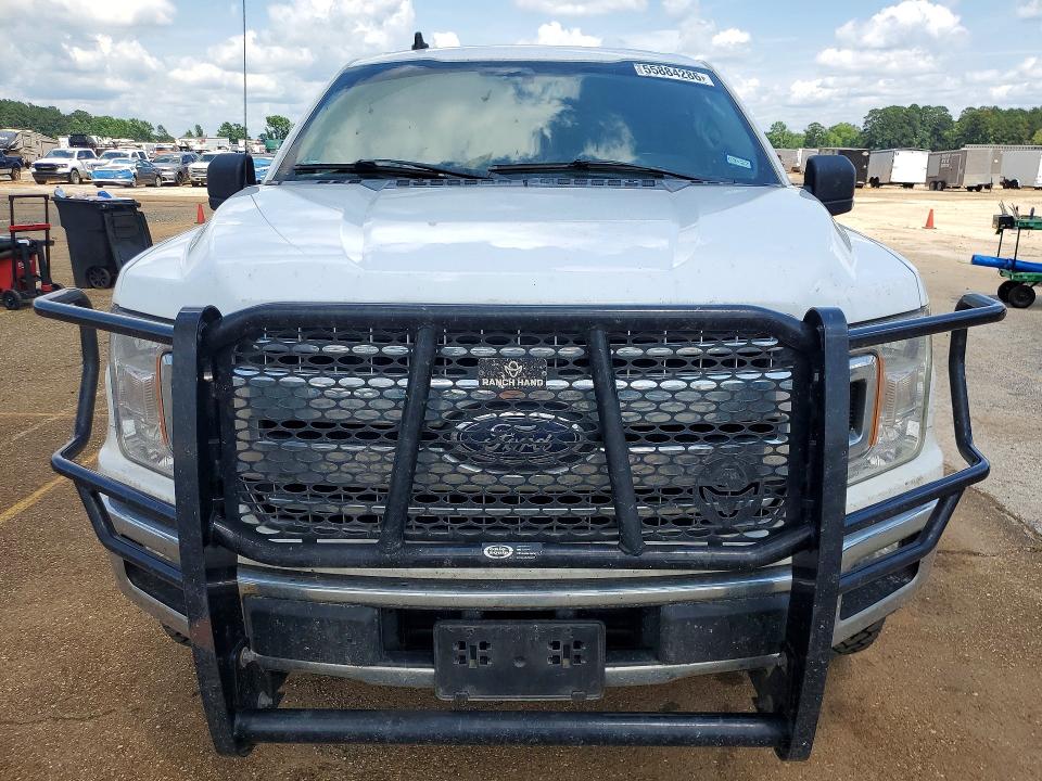 Продаж на аукціоні авто 2019 Ford F150, vin: 1FTEW1CP1KKC84894, номер лоту: 55884286