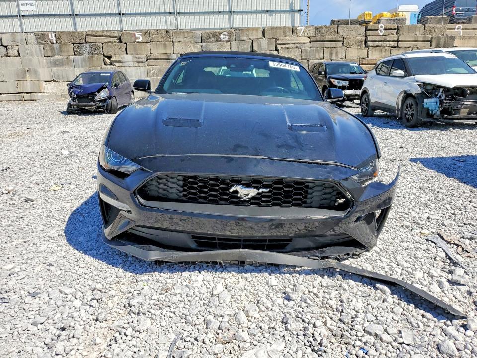 55604756 :رقم المزاد ، 1FATP8UH4P5103173 vin ، 2023 Ford Mustang مزاد بيع