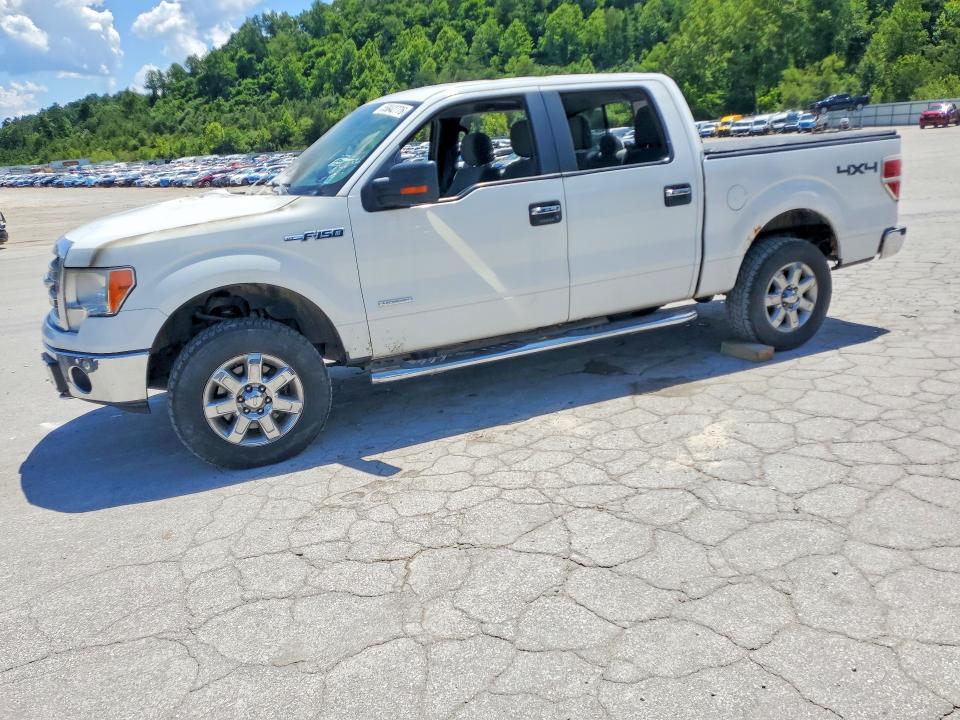 Aukcja sprzedaży 2013 Ford F150, vin: 1FTFW1ET5DFA36559, numer aukcji: 55842776
