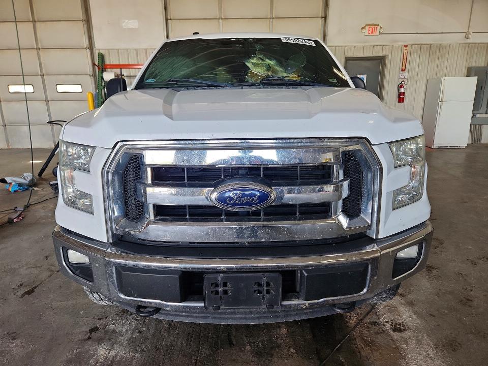 Продаж на аукціоні авто 2016 Ford F150, vin: 1FTEW1EG4GKE99724, номер лоту: 55568246