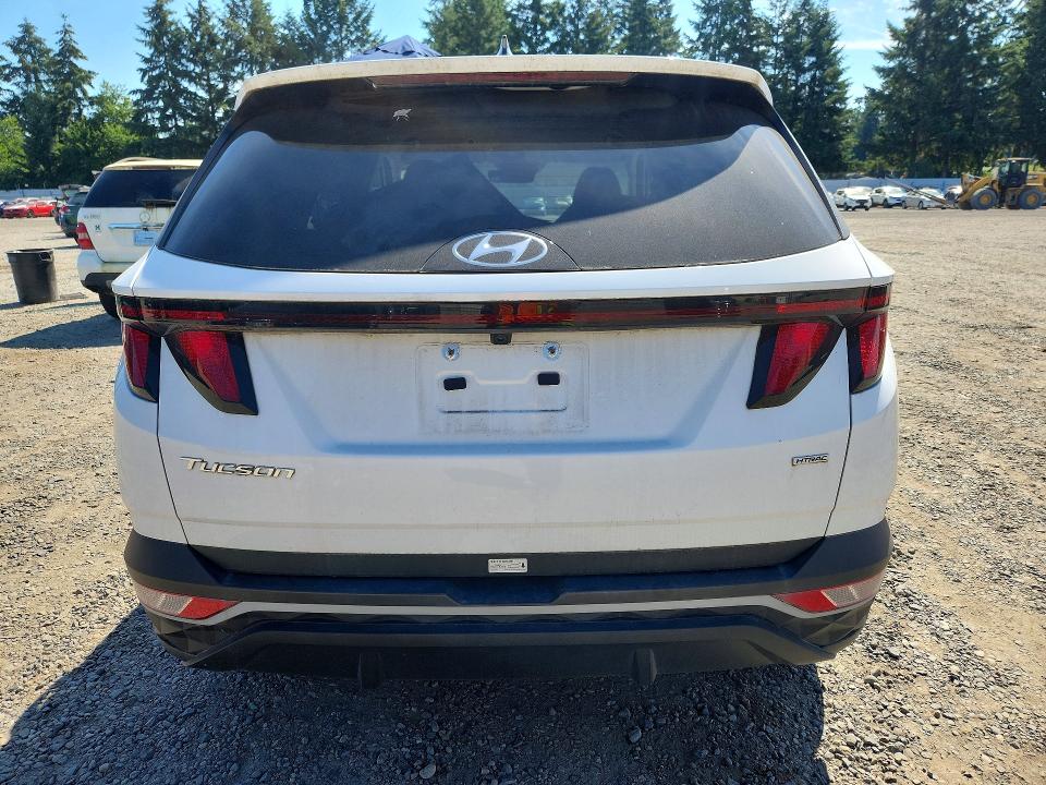 Продажа на аукционе авто 2024 Hyundai Tucson, vin: 5NMJBCDE6RH337811, номер лота: 58676206