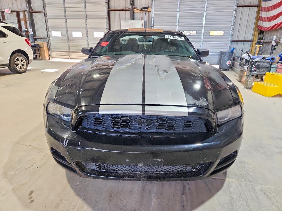 Продаж на аукціоні авто 2014 Ford Mustang, vin: 1ZVBP8AM0E5282362, номер лоту: 57769006