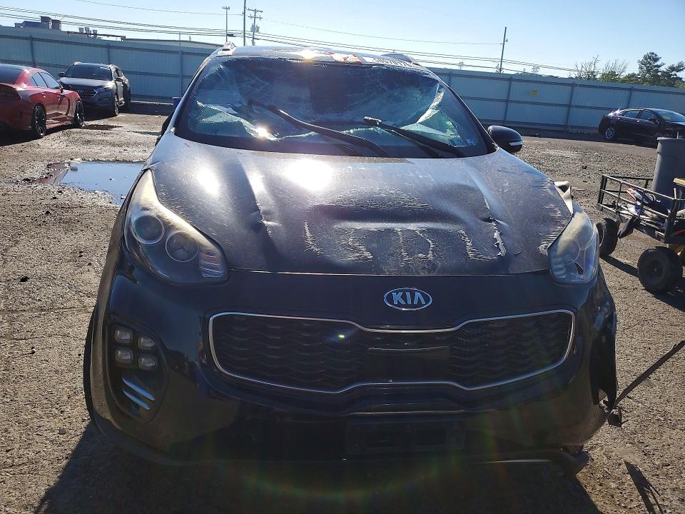Продаж на аукціоні авто 2017 Kia Sportage, vin: KNDPRCA60H7094750, номер лоту: 58570176