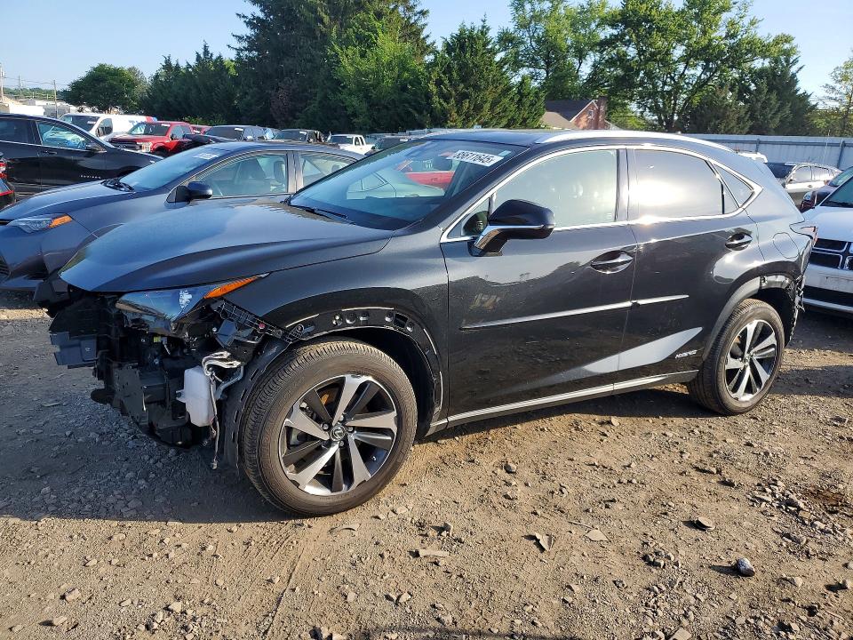 85611645 :رقم المزاد ، JTJGJRDZ2M2160638 vin ، 2021 Lexus Nx 300h مزاد بيع