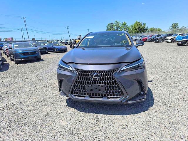 2024 Lexus Nx მანქანა იყიდება აუქციონზე, vin: 2T2HGCEZ6RC047359, აუქციონის ნომერი: 56097476