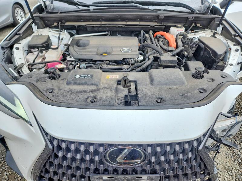Продаж на аукціоні авто 2023 Lexus Nx, vin: JTJAKCEZ6P5007133, номер лоту: 56609946