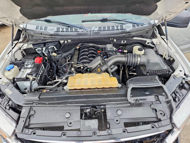 Продаж на аукціоні авто 2019 Ford F150, vin: 1FTEW1C58KFB19769, номер лоту: 56529756