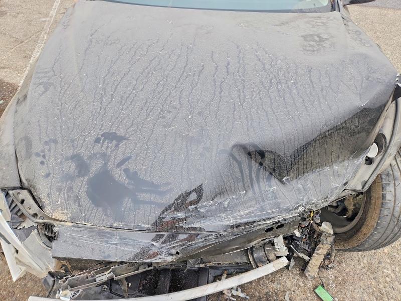 Aukcja sprzedaży 2018 Infiniti Q50, vin: JN1EV7AP8JM591946, numer aukcji: 58807036