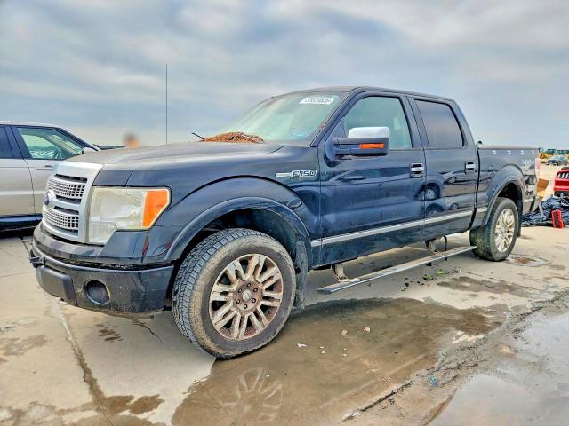 55830826 :رقم المزاد ، 1FTFW1EF7BFA36313 vin ، 2011 Ford F150 مزاد بيع
