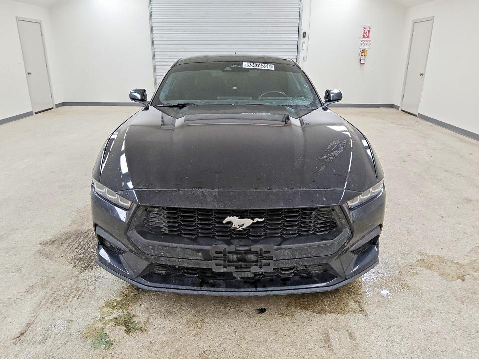 Продаж на аукціоні авто 2024 Ford Mustang, vin: 1FA6P8TH3R5122024, номер лоту: 53474396