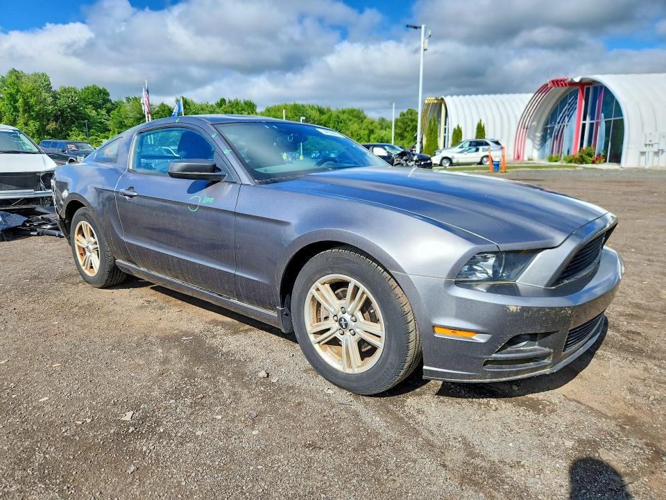Aukcja sprzedaży 2014 Ford Mustang, vin: 1ZVBP8AMXE5297791, numer aukcji: 54836896