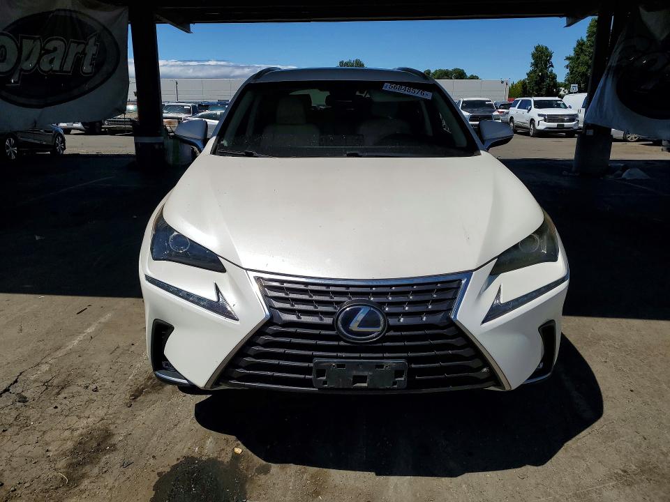 56848576 :رقم المزاد ، JTJBJRBZ0K2109391 vin ، 2019 Lexus Nx مزاد بيع