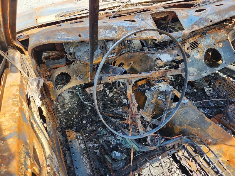 Продаж на аукціоні авто 1969 Ford Mustang, vin: 9R02S149652, номер лоту: 55183926