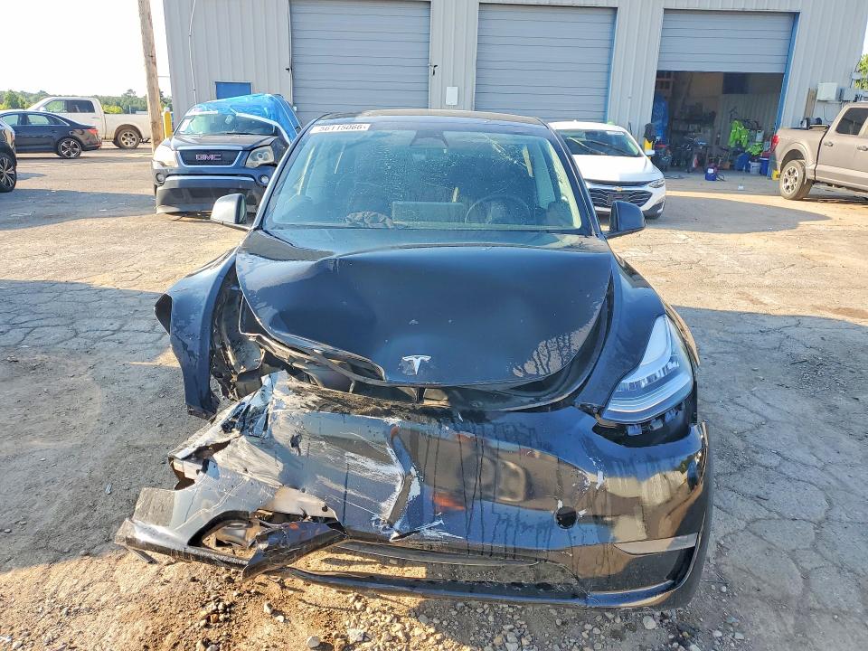Продажа на аукционе авто 2023 Tesla Model Y, vin: 7SAYGDEE6PA058586, номер лота: 56115066
