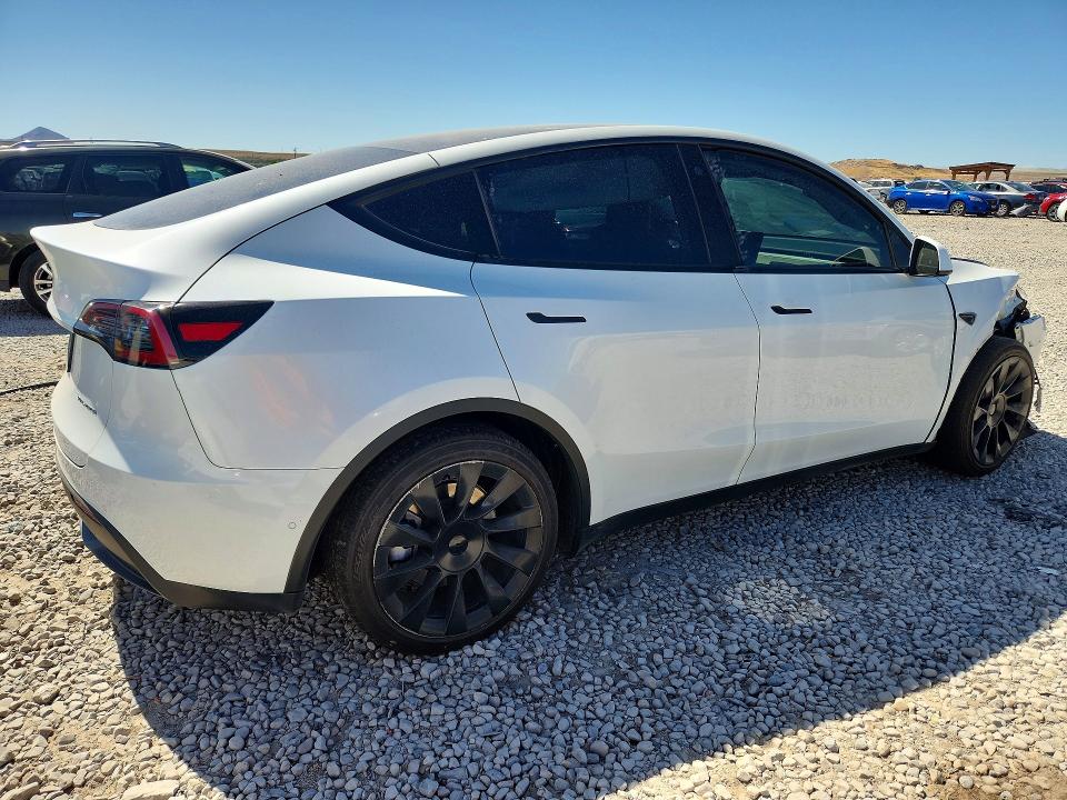 56322126 :رقم المزاد ، 5YJYGDEE2MF278769 vin ، 2021 Tesla Model Y مزاد بيع