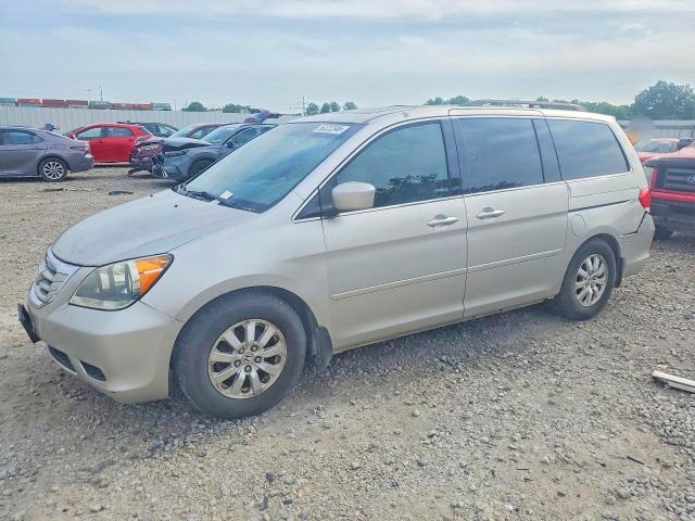 Продаж на аукціоні авто 2009 Honda Odyssey, vin: 5FNRL38749B046995, номер лоту: 56222346