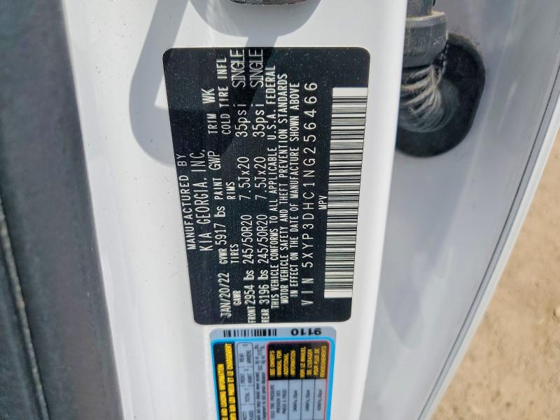 2022 Kia Telluride მანქანა იყიდება აუქციონზე, vin: 5XYP3DHC1NG256466, აუქციონის ნომერი: 56456586